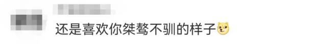 鐘薛高成“老賴”！累計(jì)被執(zhí)行金額超2800萬元！網(wǎng)友：看來紅薯不好賣啊
