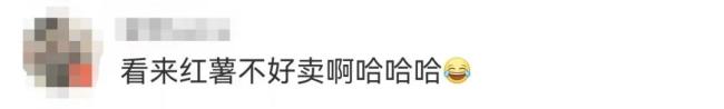 鐘薛高成“老賴”！累計(jì)被執(zhí)行金額超2800萬元！網(wǎng)友：看來紅薯不好賣啊