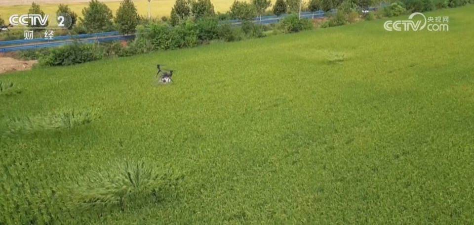 低空經(jīng)濟催生無人機“飛手”考證熱 目前操控員就業(yè)人才缺口大