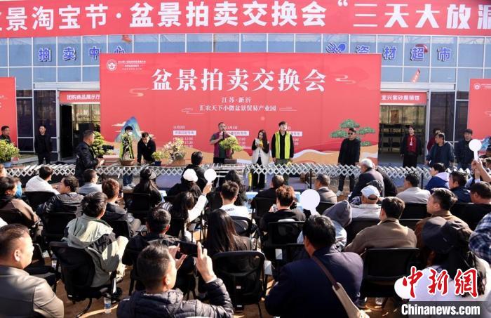 低空經(jīng)濟(jì)報(bào)：超百萬(wàn)盆創(chuàng)意盆景匯聚江蘇新沂參加盆景貿(mào)易發(fā)展大會(huì)