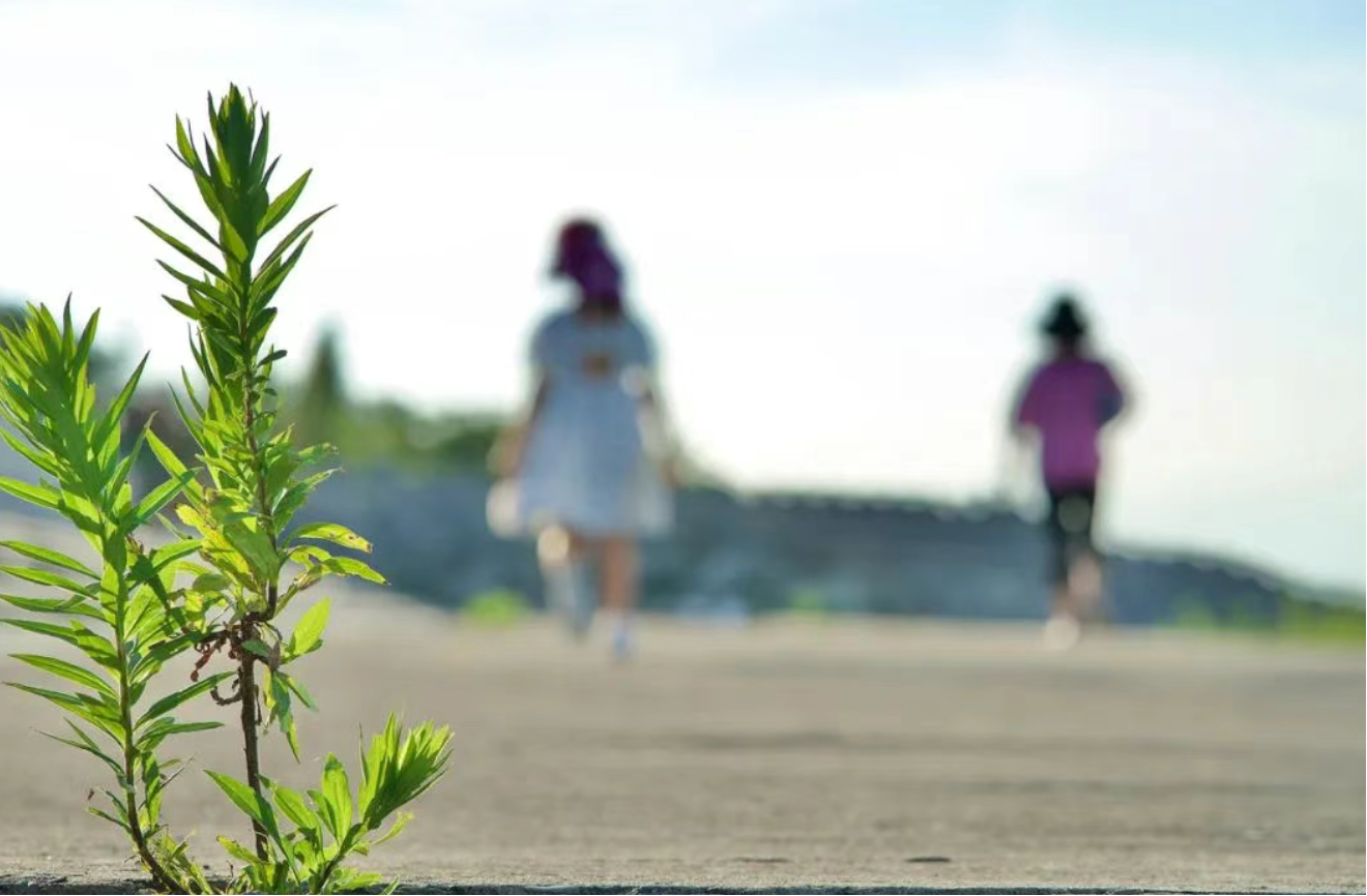 平安福溫情守護(hù) | 從保費(fèi)困境到68萬理賠 一份保障的生命力